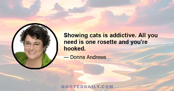 Showing cats is addictive. All you need is one rosette and you're hooked.