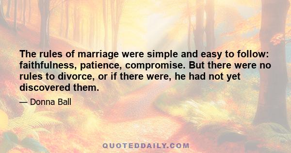 The rules of marriage were simple and easy to follow: faithfulness, patience, compromise. But there were no rules to divorce, or if there were, he had not yet discovered them.