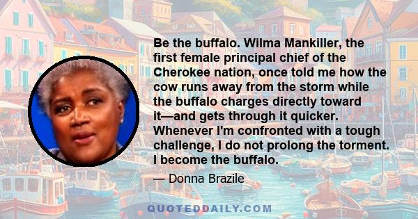 Be the buffalo. Wilma Mankiller, the first female principal chief of the Cherokee nation, once told me how the cow runs away from the storm while the buffalo charges directly toward it—and gets through it quicker.