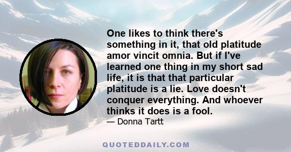 One likes to think there's something in it, that old platitude amor vincit omnia. But if I've learned one thing in my short sad life, it is that that particular platitude is a lie. Love doesn't conquer everything. And