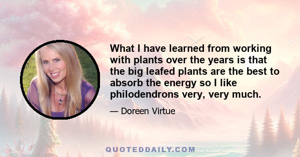 What I have learned from working with plants over the years is that the big leafed plants are the best to absorb the energy so I like philodendrons very, very much.