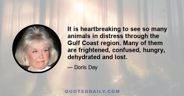 It is heartbreaking to see so many animals in distress through the Gulf Coast region. Many of them are frightened, confused, hungry, dehydrated and lost.