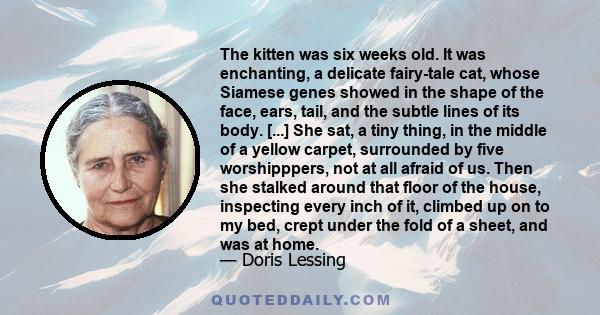 The kitten was six weeks old. It was enchanting, a delicate fairy-tale cat, whose Siamese genes showed in the shape of the face, ears, tail, and the subtle lines of its body. [...] She sat, a tiny thing, in the middle