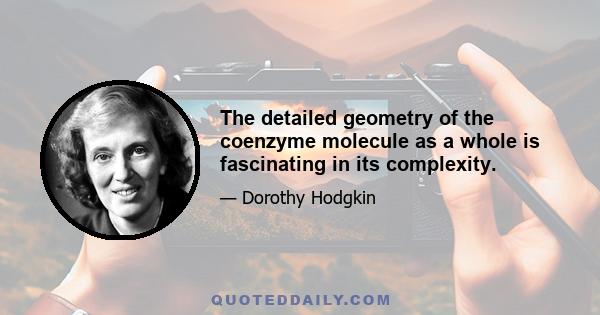 The detailed geometry of the coenzyme molecule as a whole is fascinating in its complexity.