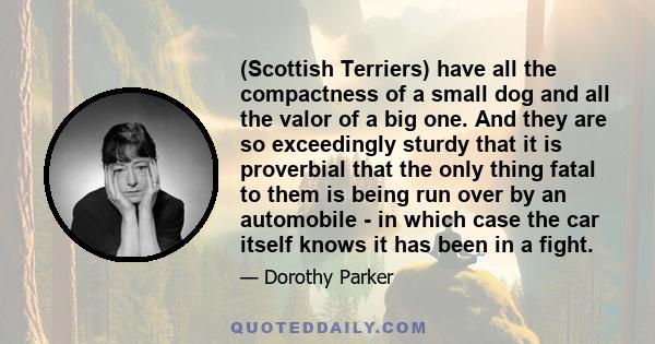 (Scottish Terriers) have all the compactness of a small dog and all the valor of a big one. And they are so exceedingly sturdy that it is proverbial that the only thing fatal to them is being run over by an automobile - 