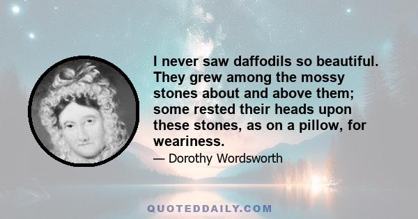 I never saw daffodils so beautiful. They grew among the mossy stones about and above them; some rested their heads upon these stones, as on a pillow, for weariness.