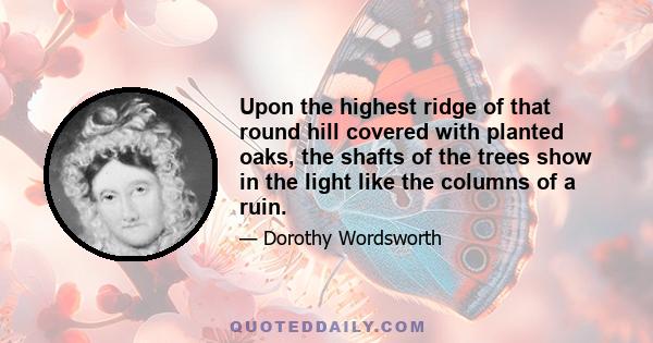 Upon the highest ridge of that round hill covered with planted oaks, the shafts of the trees show in the light like the columns of a ruin.