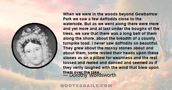 When we were in the woods beyond Gowbarrow Park we saw a few daffodils close to the waterside. But as we went along there were more and yet more and at last under the boughs of the trees, we saw that there was a long