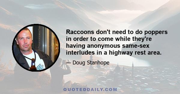 Raccoons don't need to do poppers in order to come while they're having anonymous same-sex interludes in a highway rest area.