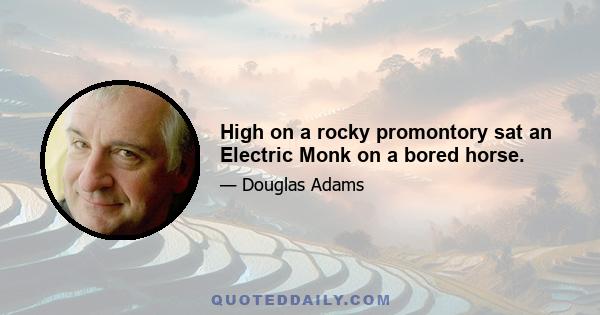 High on a rocky promontory sat an Electric Monk on a bored horse.