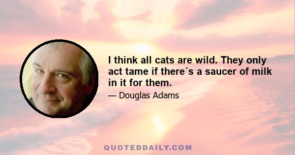 I think all cats are wild. They only act tame if there´s a saucer of milk in it for them.