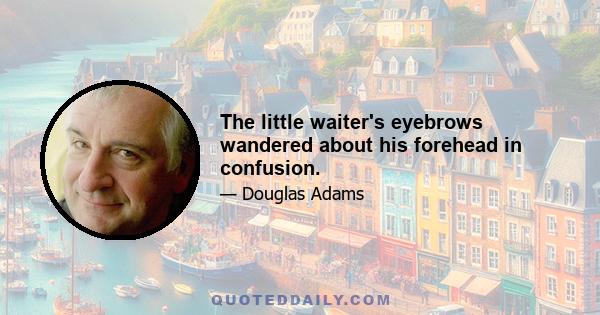 The little waiter's eyebrows wandered about his forehead in confusion.