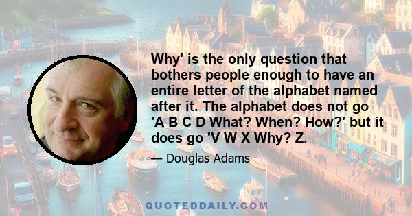 Why' is the only question that bothers people enough to have an entire letter of the alphabet named after it. The alphabet does not go 'A B C D What? When? How?' but it does go 'V W X Why? Z.