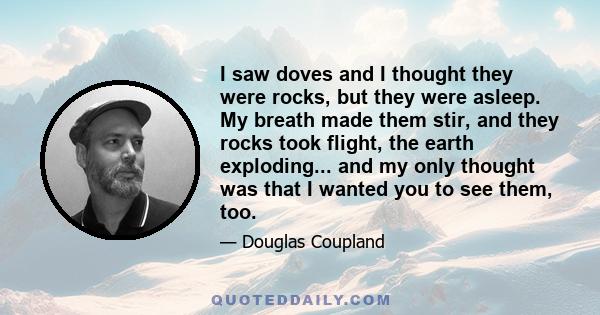 I saw doves and I thought they were rocks, but they were asleep. My breath made them stir, and they rocks took flight, the earth exploding... and my only thought was that I wanted you to see them, too.