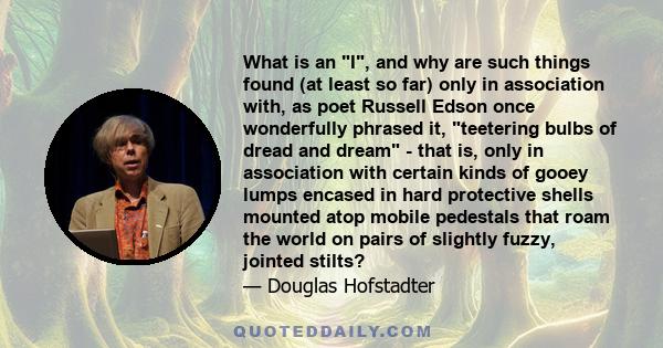 What is an I, and why are such things found (at least so far) only in association with, as poet Russell Edson once wonderfully phrased it, teetering bulbs of dread and dream - that is, only in association with certain