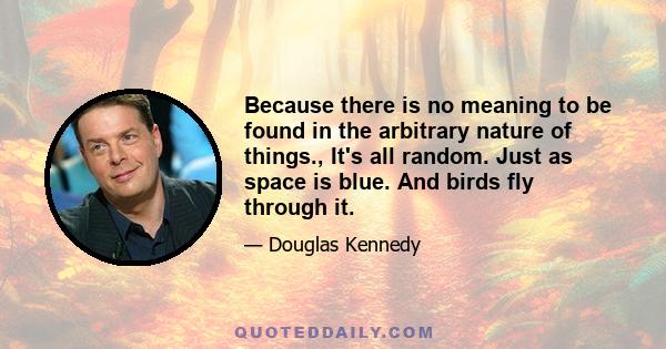 Because there is no meaning to be found in the arbitrary nature of things., It's all random. Just as space is blue. And birds fly through it.