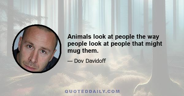 Animals look at people the way people look at people that might mug them.