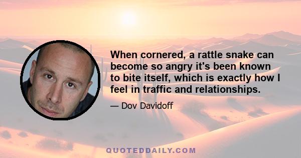 When cornered, a rattle snake can become so angry it's been known to bite itself, which is exactly how I feel in traffic and relationships.