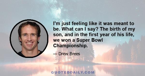 I'm just feeling like it was meant to be. What can I say? The birth of my son, and in the first year of his life, we won a Super Bowl Championship.