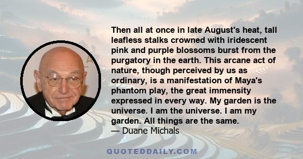 Then all at once in late August's heat, tall leafless stalks crowned with iridescent pink and purple blossoms burst from the purgatory in the earth. This arcane act of nature, though perceived by us as ordinary, is a