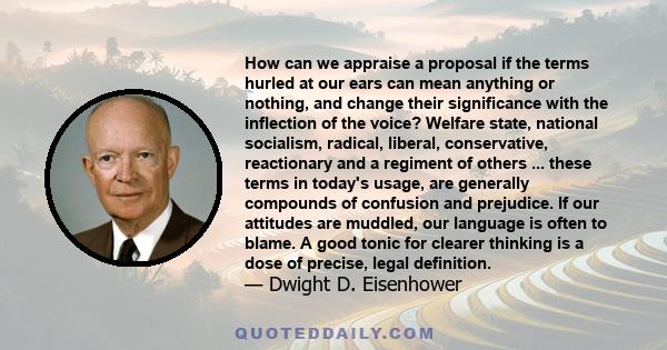 How can we appraise a proposal if the terms hurled at our ears can mean anything or nothing, and change their significance with the inflection of the voice? Welfare state, national socialism, radical, liberal,