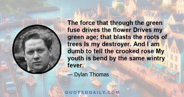 The force that through the green fuse drives the flower Drives my green age; that blasts the roots of trees Is my destroyer. And I am dumb to tell the crooked rose My youth is bend by the same wintry fever.