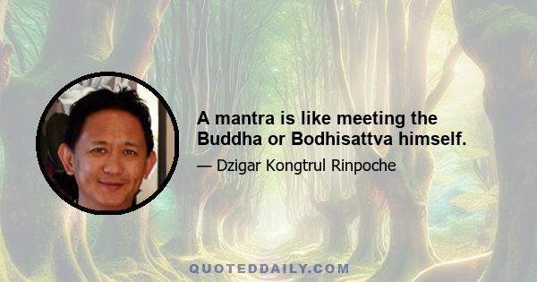 A mantra is like meeting the Buddha or Bodhisattva himself.