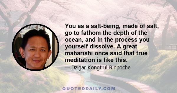 You as a salt-being, made of salt, go to fathom the depth of the ocean, and in the process you yourself dissolve. A great maharishi once said that true meditation is like this.