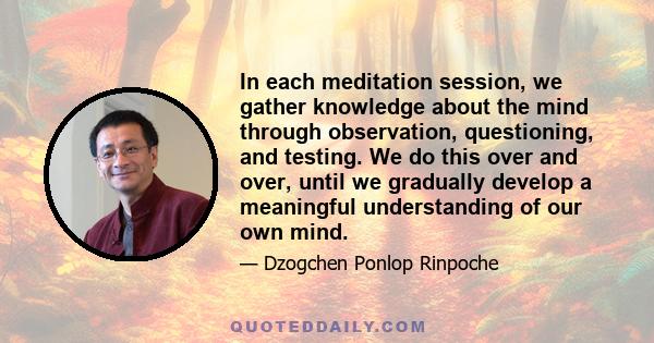 In each meditation session, we gather knowledge about the mind through observation, questioning, and testing. We do this over and over, until we gradually develop a meaningful understanding of our own mind.