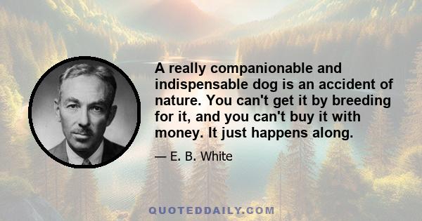 A really companionable and indispensable dog is an accident of nature. You can't get it by breeding for it, and you can't buy it with money. It just happens along.