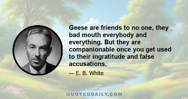 Geese are friends to no one, they bad mouth everybody and everything. But they are companionable once you get used to their ingratitude and false accusations.