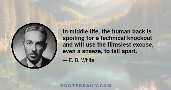 In middle life, the human back is spoiling for a technical knockout and will use the flimsiest excuse, even a sneeze, to fall apart.