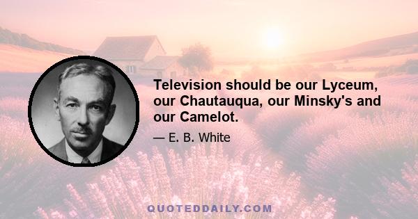 Television should be our Lyceum, our Chautauqua, our Minsky's and our Camelot.