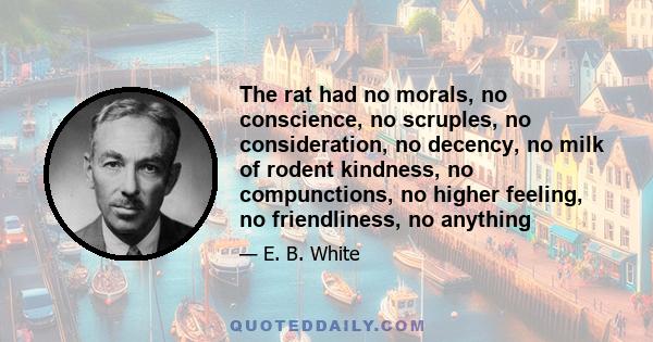 The rat had no morals, no conscience, no scruples, no consideration, no decency, no milk of rodent kindness, no compunctions, no higher feeling, no friendliness, no anything