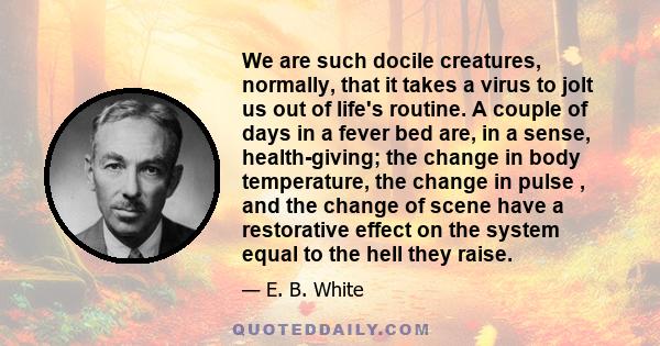 We are such docile creatures, normally, that it takes a virus to jolt us out of life's routine. A couple of days in a fever bed are, in a sense, health-giving; the change in body temperature, the change in pulse , and