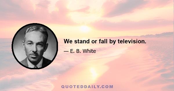 We stand or fall by television.