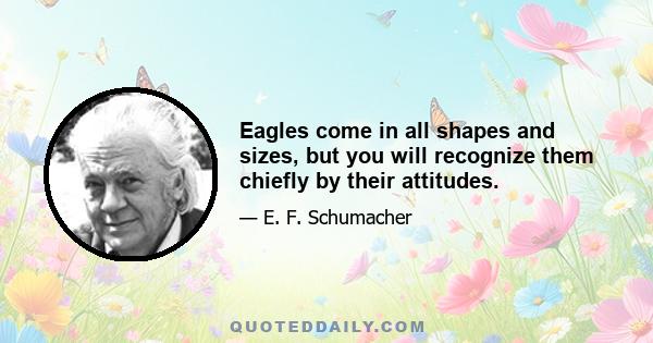 Eagles come in all shapes and sizes, but you will recognize them chiefly by their attitudes.