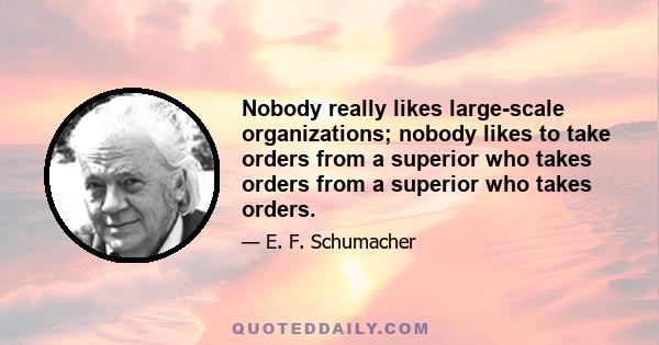 Nobody really likes large-scale organizations; nobody likes to take orders from a superior who takes orders from a superior who takes orders.