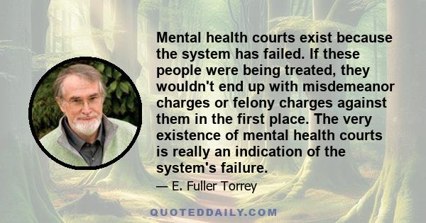 Mental health courts exist because the system has failed. If these people were being treated, they wouldn't end up with misdemeanor charges or felony charges against them in the first place. The very existence of mental 