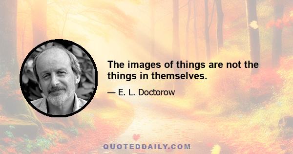 The images of things are not the things in themselves.