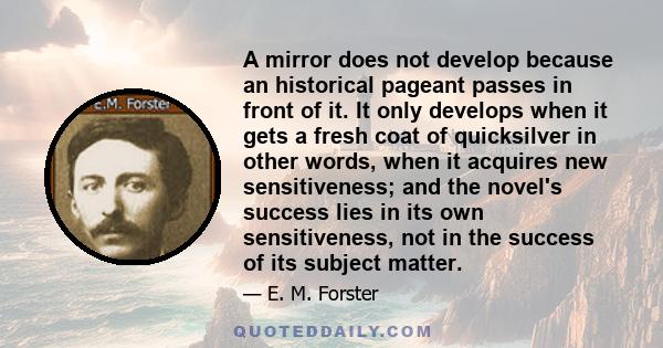 A mirror does not develop because an historical pageant passes in front of it. It only develops when it gets a fresh coat of quicksilver in other words, when it acquires new sensitiveness; and the novel's success lies