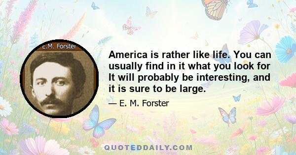 America is rather like life. You can usually find in it what you look for It will probably be interesting, and it is sure to be large.