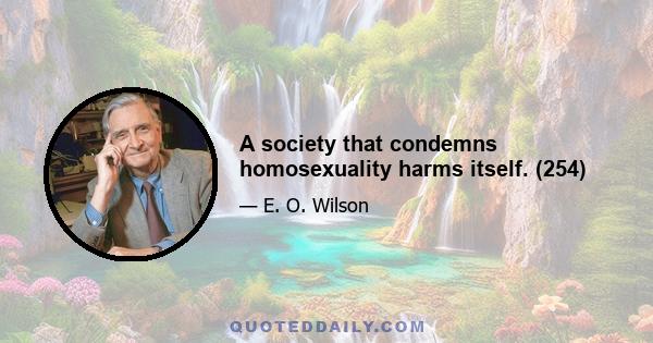 A society that condemns homosexuality harms itself. (254)