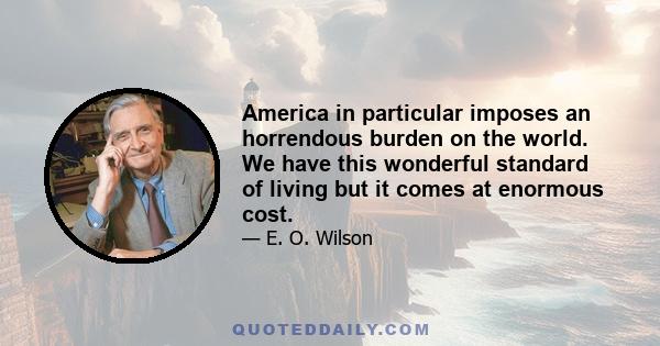 America in particular imposes an horrendous burden on the world. We have this wonderful standard of living but it comes at enormous cost.