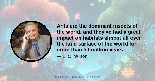 Ants are the dominant insects of the world, and they've had a great impact on habitats almost all over the land surface of the world for more than 50-million years.