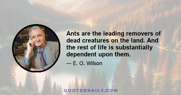 Ants are the leading removers of dead creatures on the land. And the rest of life is substantially dependent upon them.