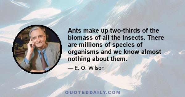 Ants make up two-thirds of the biomass of all the insects. There are millions of species of organisms and we know almost nothing about them.