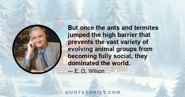 But once the ants and termites jumped the high barrier that prevents the vast variety of evolving animal groups from becoming fully social, they dominated the world.