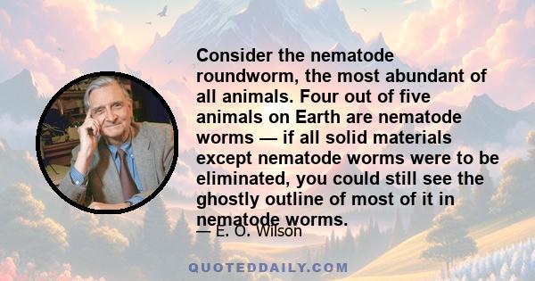 Consider the nematode roundworm, the most abundant of all animals. Four out of five animals on Earth are nematode worms — if all solid materials except nematode worms were to be eliminated, you could still see the