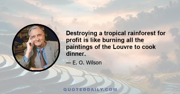 Destroying a tropical rainforest for profit is like burning all the paintings of the Louvre to cook dinner.